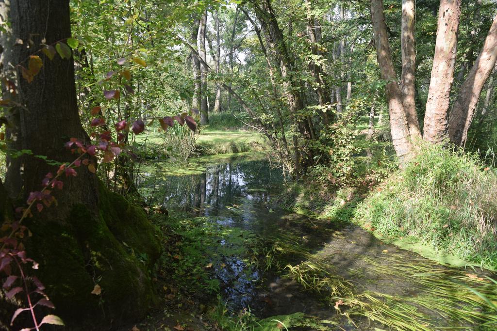 Da Gastone Villa Rivignano Eksteriør bilde